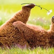 Cross stitch pattern: #670565