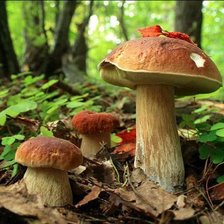 Cross stitch pattern: #671205