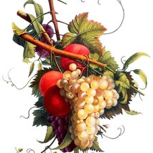 Cross stitch pattern: #671324