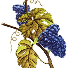 Cross stitch pattern: #671839