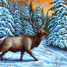 Cross stitch pattern: #672045