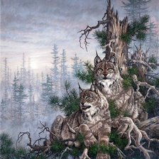 Cross stitch pattern: #672073