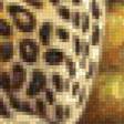 Preview of cross stitch pattern: #672077