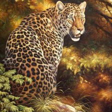 Cross stitch pattern: #672077