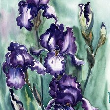 Cross stitch pattern: #672506