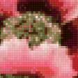 Preview of cross stitch pattern: #672818