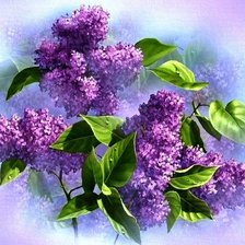 Cross stitch pattern: #672825