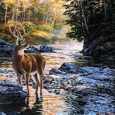 Cross stitch pattern: #673195