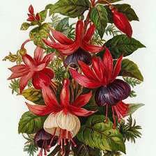 Cross stitch pattern: #673225