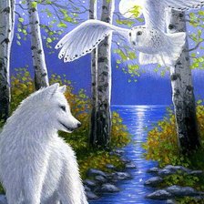 Cross stitch pattern: #673241