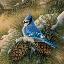 Cross stitch pattern: #673301