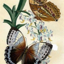 Cross stitch pattern: #673576