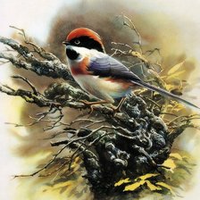 Cross stitch pattern: #673652