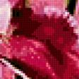 Preview of cross stitch pattern: #673696