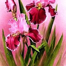 Cross stitch pattern: #673696