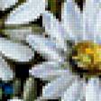 Preview of cross stitch pattern: #674023