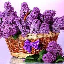 Cross stitch pattern: #674738