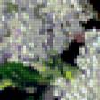Preview of cross stitch pattern: #674743