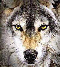 Cross stitch pattern: #675187