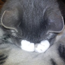 Cross stitch pattern: #675745