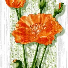 Cross stitch pattern: #676418