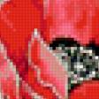 Preview of cross stitch pattern: #676434