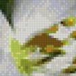 Preview of cross stitch pattern: #676830