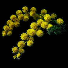 Cross stitch pattern: #676832