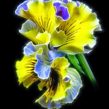 Cross stitch pattern: #676860