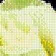 Preview of cross stitch pattern: #676862