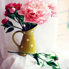 Cross stitch pattern: #677647