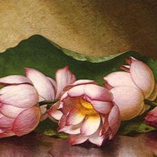 Cross stitch pattern: #677649