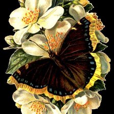Cross stitch pattern: #677893