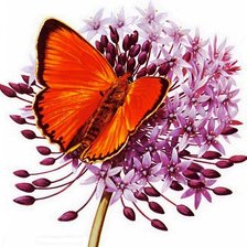 Cross stitch pattern: #677894