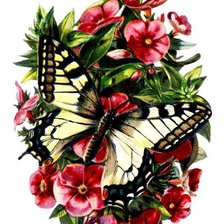 Cross stitch pattern: #677900