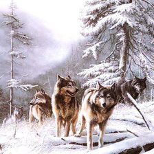 Cross stitch pattern: #678017