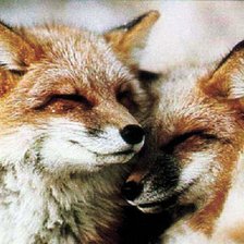 Cross stitch pattern: #678036