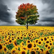 Cross stitch pattern: #679286