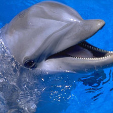 Cross stitch pattern: #679889