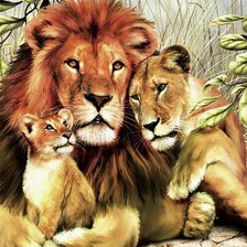 Cross stitch pattern: #681121