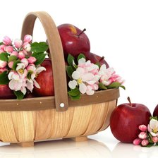 Cross stitch pattern: #681356