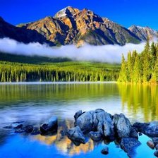 Cross stitch pattern: #684729