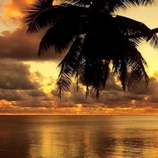 Cross stitch pattern: #685706