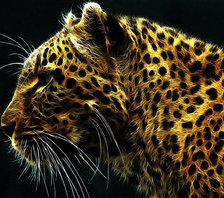 Cross stitch pattern: #688065