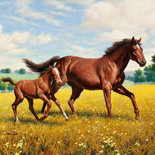 Cross stitch pattern: #688192