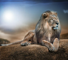 Cross stitch pattern: #688209