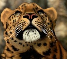 Cross stitch pattern: #688214