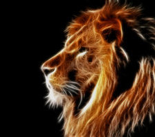 Cross stitch pattern: #688215