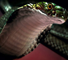 Cross stitch pattern: #688222