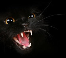 Cross stitch pattern: #688250